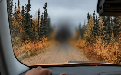 Macular hole: when a piece is missing from the centre of your vision